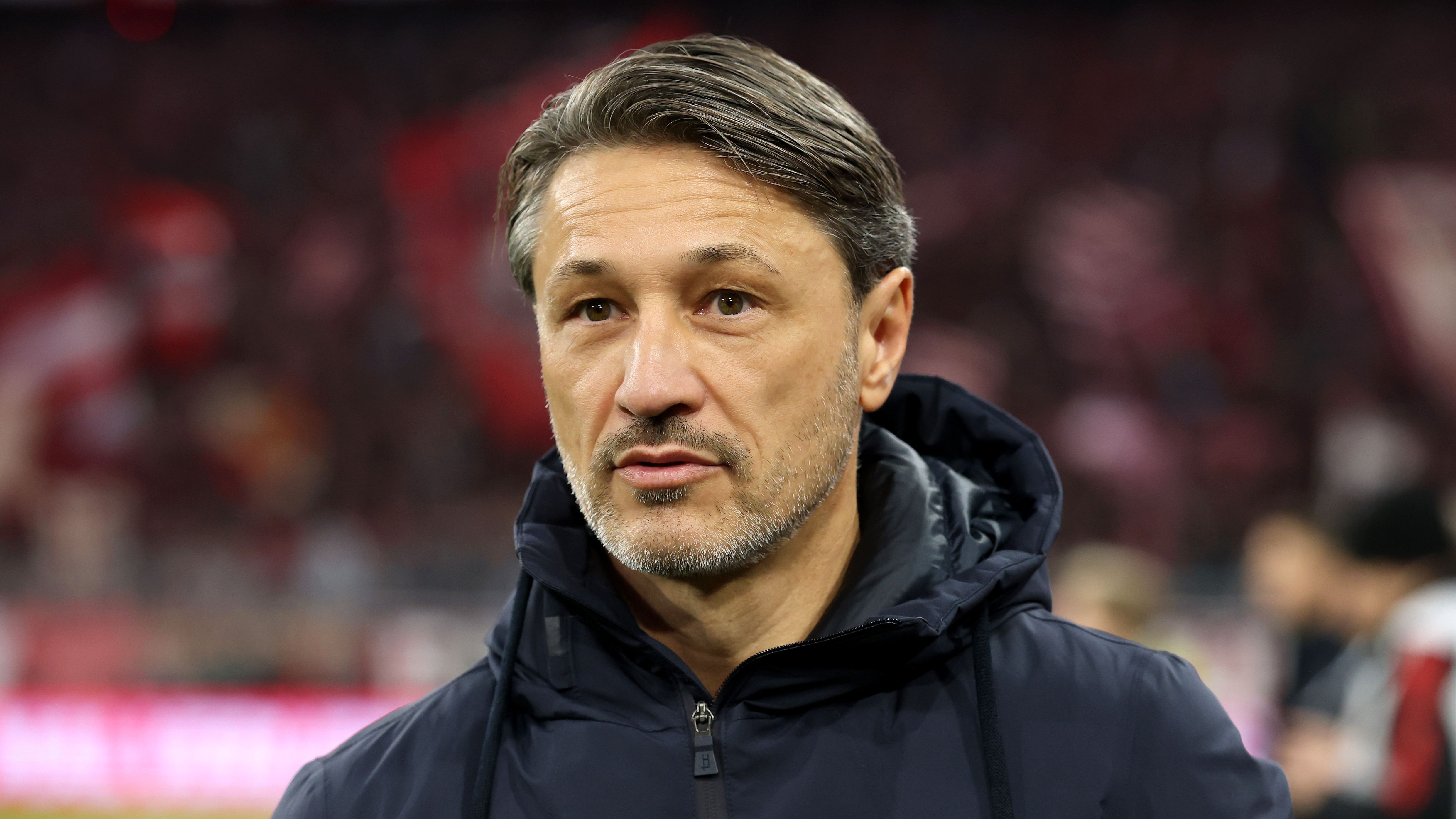 BVB, News und Gerüchte - 