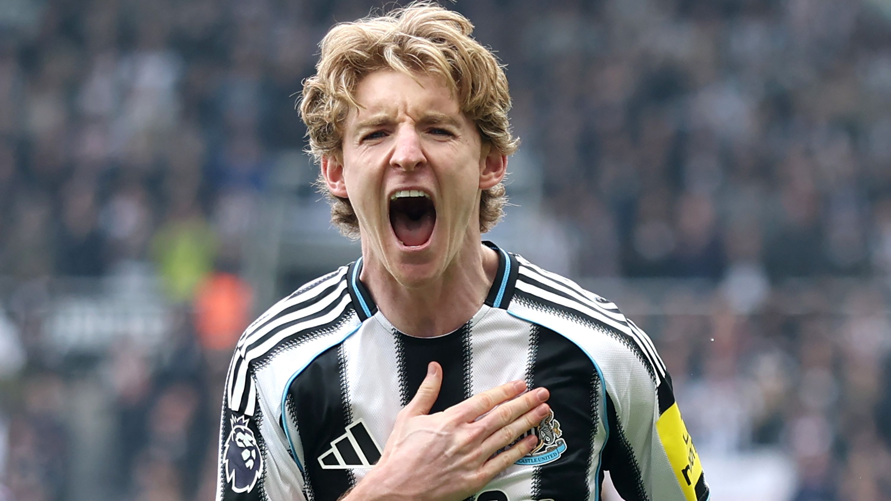 Revanchiert sich der 